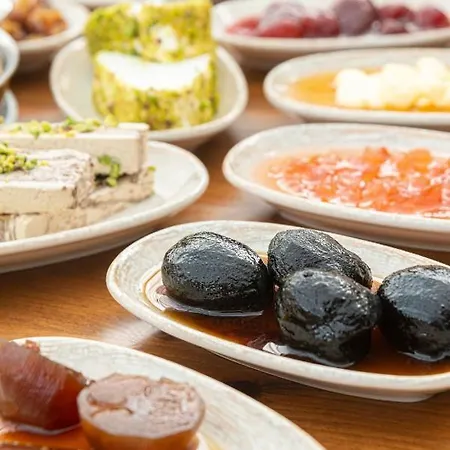 Grand Pasha & Casino Hotel